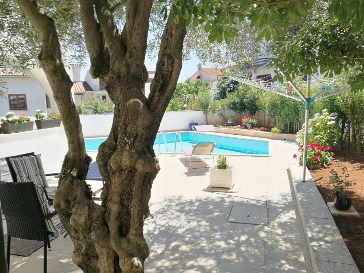 Apartment Bozena 4