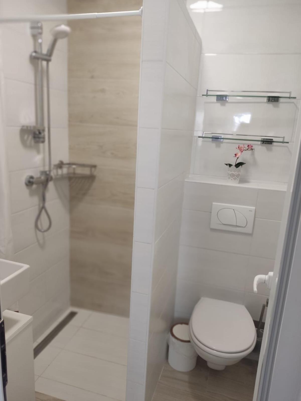 Apartment Bozena 4 *